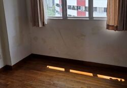 Alessandrea (D3), Apartment #551961441